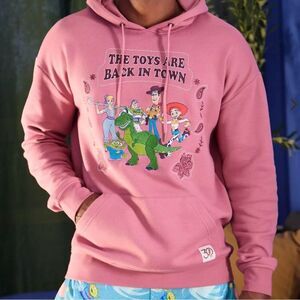 Disney Pixar Toy Story Paisley Group Portrait Hoodie – Unisex Size Small